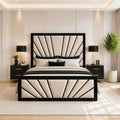 Sunbeam Lily Bed